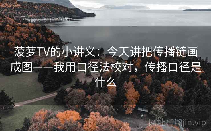 菠萝TV的小讲义：今天讲把传播链画成图——我用口径法校对，传播口径是什么